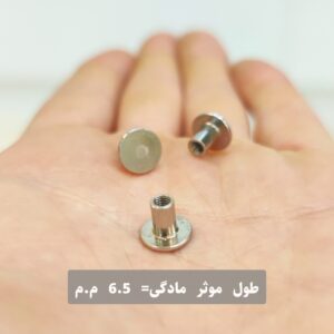 پیچ فیکس ریز