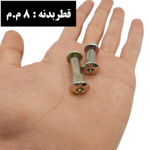 پیچ فیکس طلایی